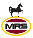 logo-2